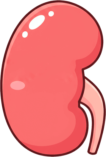 Soins de dialyse péritonéale